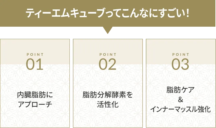 ティーエムキューブってこんなにすごい!