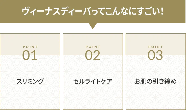 ヴィーナスディーバってこんなにすごい!